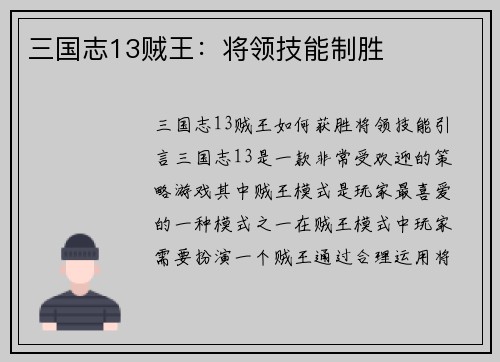 三国志13贼王：将领技能制胜