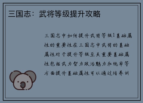 三国志：武将等级提升攻略